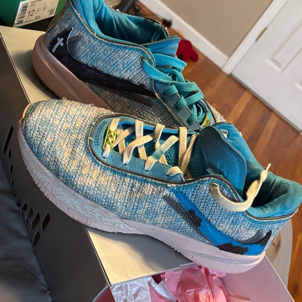 Men’s Nike LeBron 20 (Colored on Nike swoosh)
